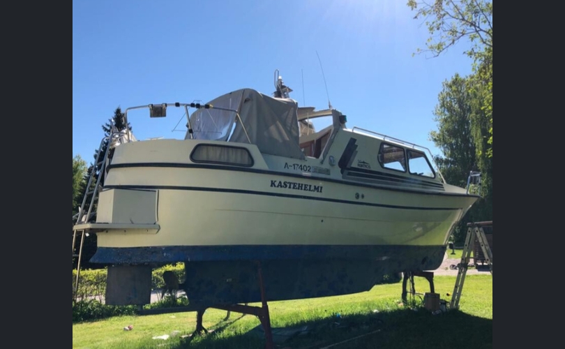 Albatross Flying 870-kuva-3